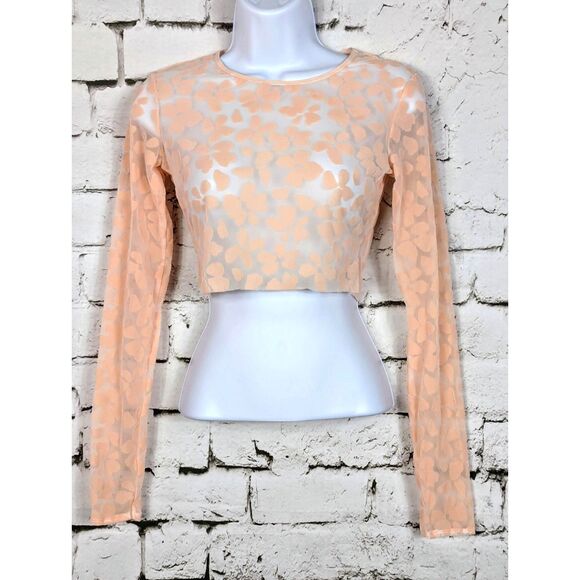VICTORIA'S SECRET Floral Flocked Sheer Mesh Stretch Crop Top Pink Festival Small - Picture 2 of 6